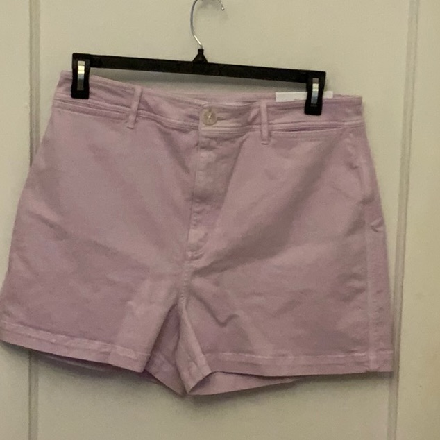 Nwt Loft Celestina Denim Shorts.